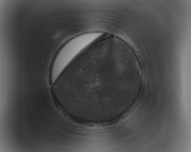 X0000089440434200706291428