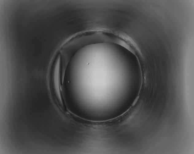 X0000089440436200706291428