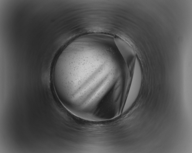 X0000089440438200706291428