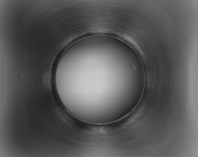 X0000089440439200706291428