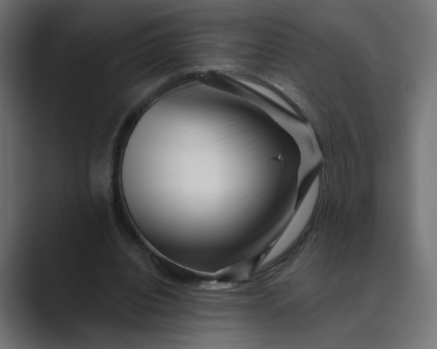 X0000089440440200706291428