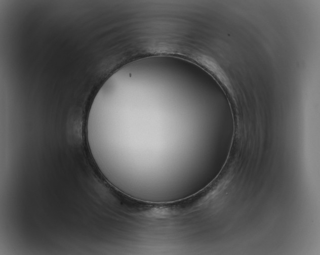 X0000089440441200706291428