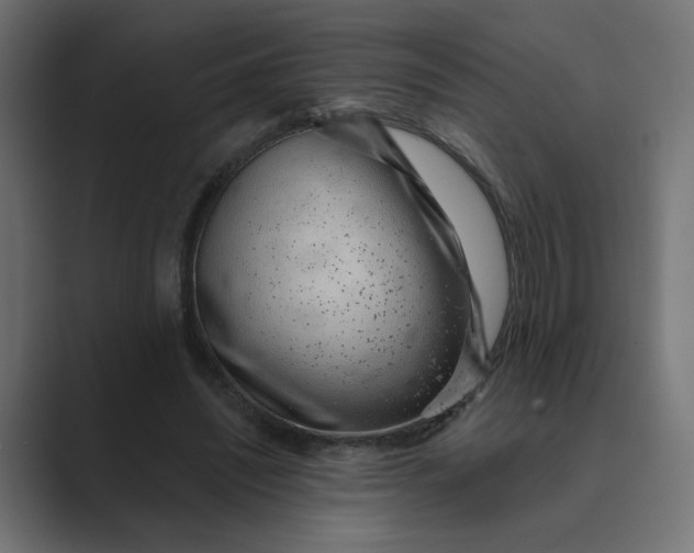 X0000089440444200706291428