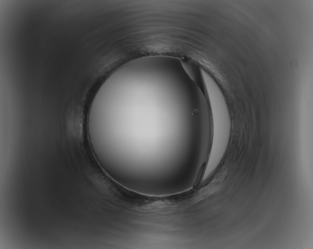 X0000089440446200706291428