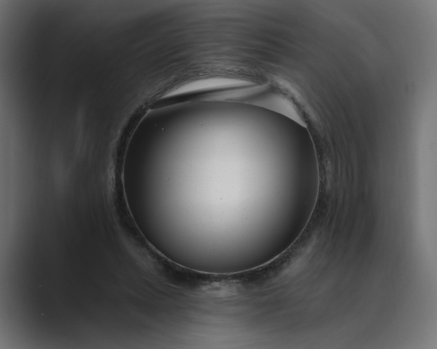 X0000089440447200706291428