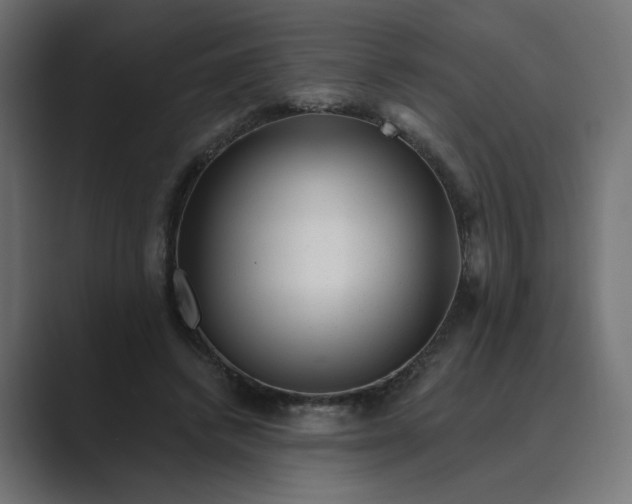 X0000089440448200706291428