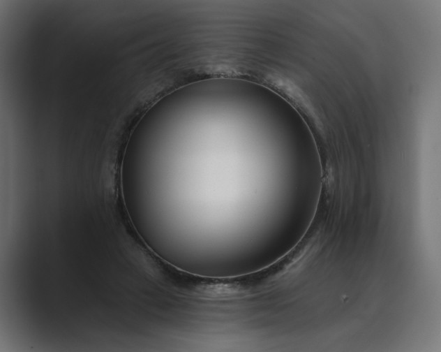 X0000089440449200706291428