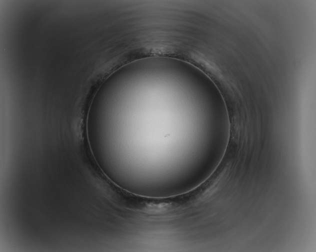 X0000089440450200706291428