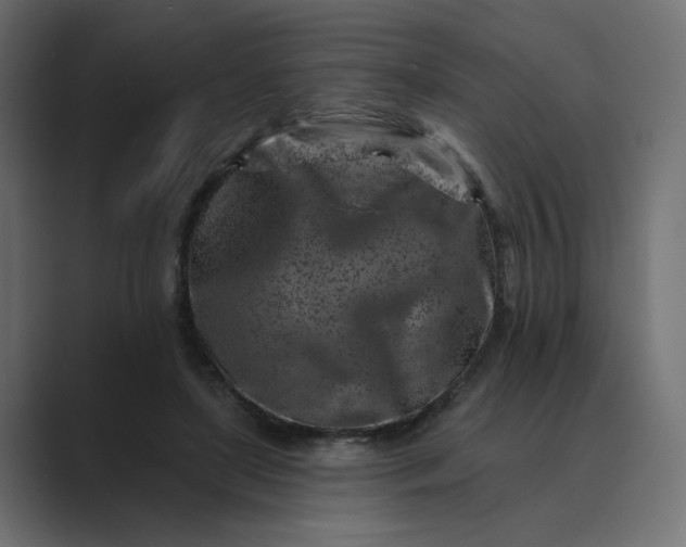 X0000089440451200706291428