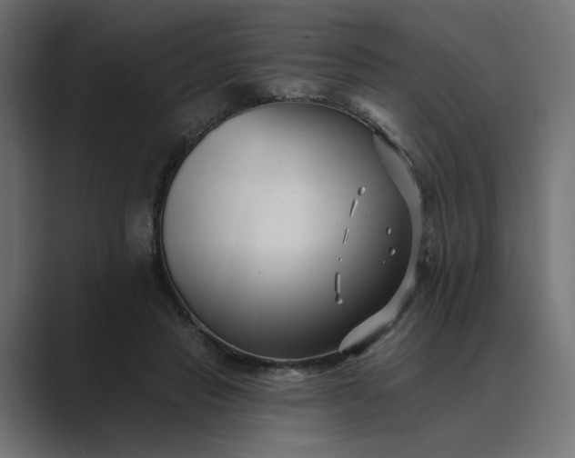 X0000089440453200706291428