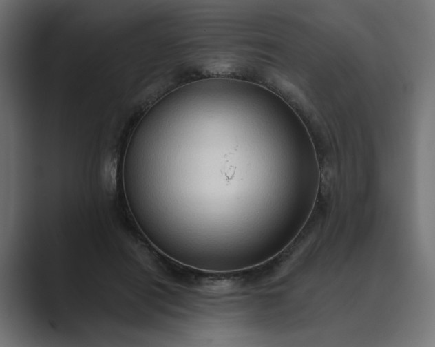 X0000089440454200706291428