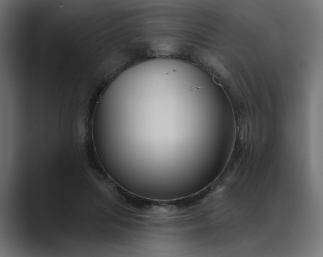 X0000089440455200706291428