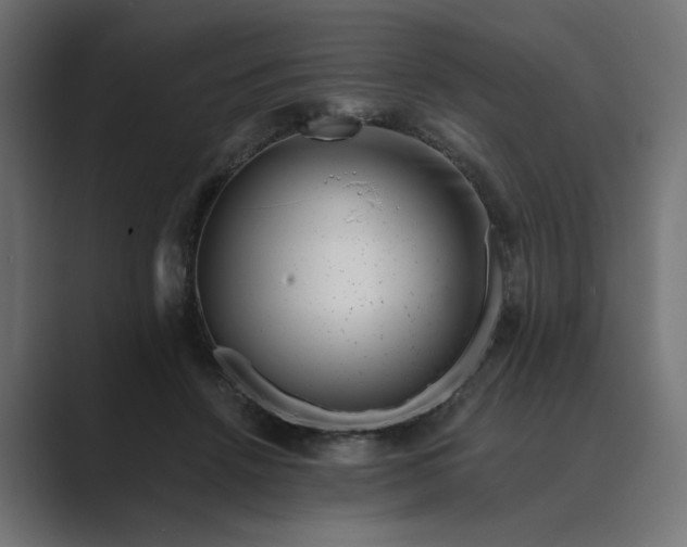 X0000089440456200706291428