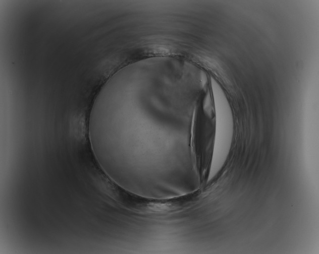 X0000089440457200706291428