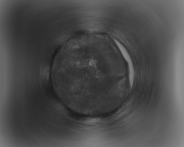 X0000089440458200706291428