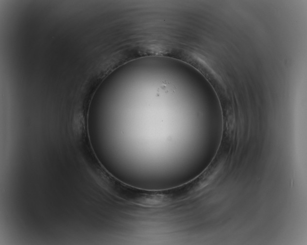 X0000089440459200706291428