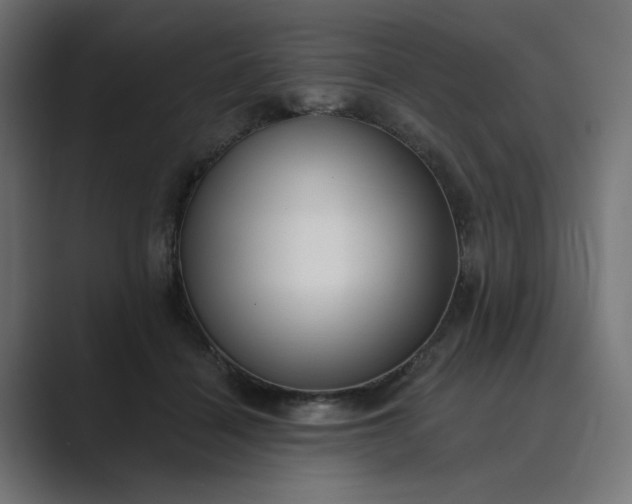 X0000089440460200706291428