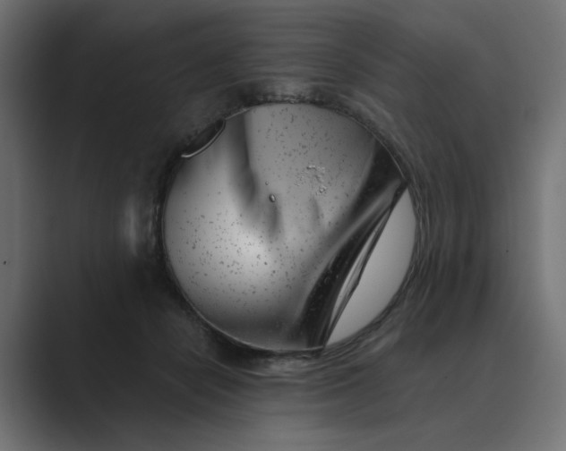 X0000089440462200706291428