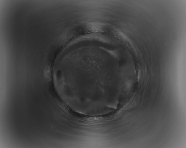 X0000089440465200706291428