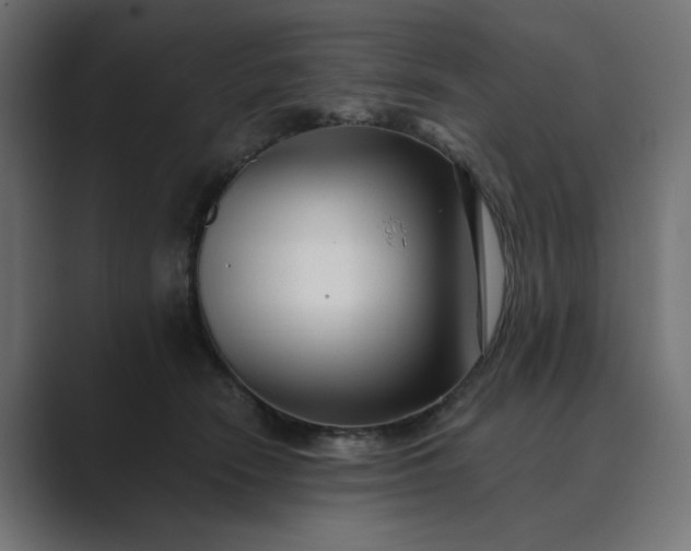 X0000089440466200706291428