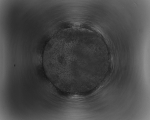 X0000089440467200706291428