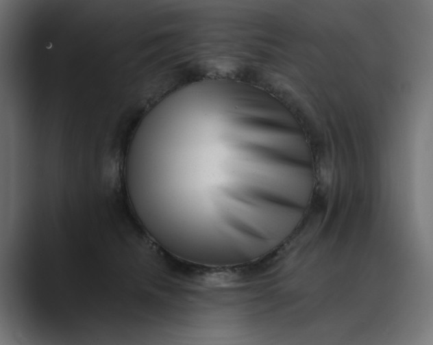 X0000089440468200706291428