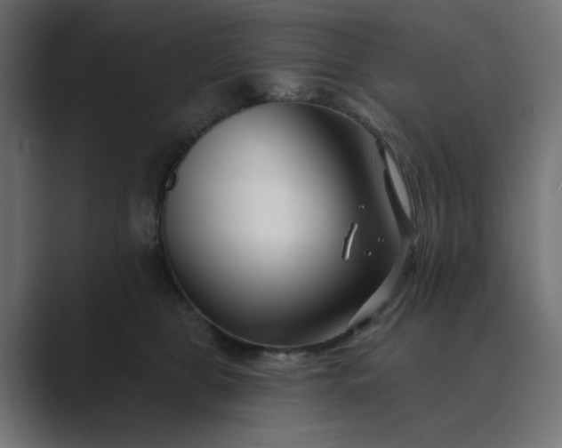 X0000089440469200706291428