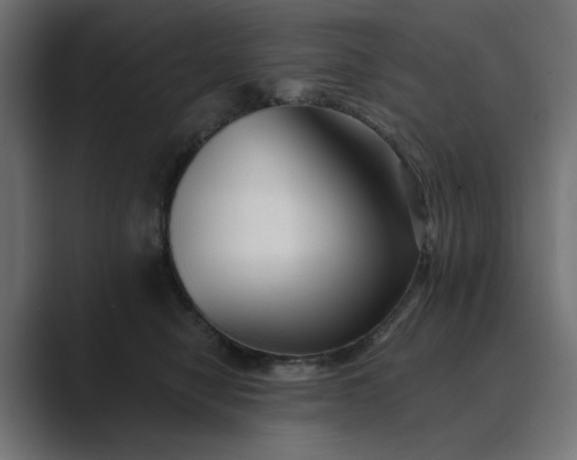 X0000089440470200706291428