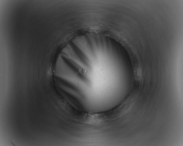 X0000089440472200706291428