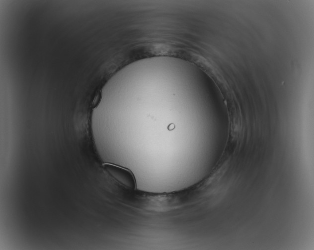 X0000089440473200706291428