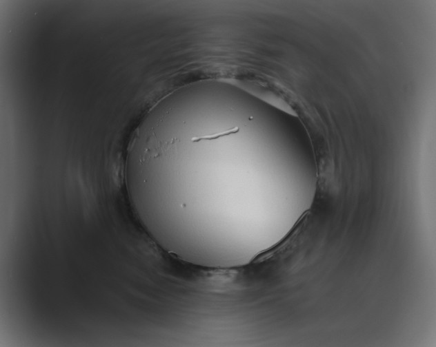 X0000089440474200706291428