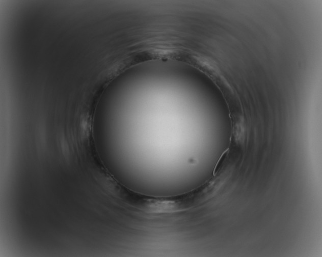 X0000089440476200706291428