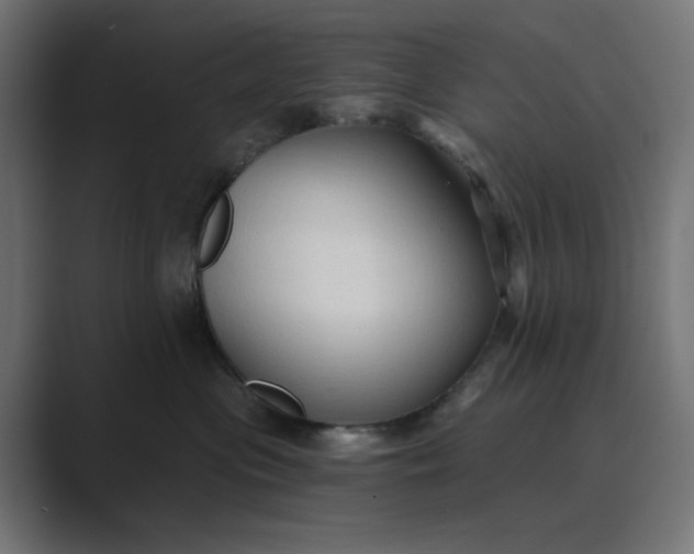 X0000089440477200706291428