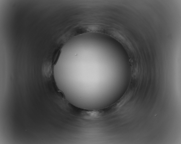 X0000089440478200706291428