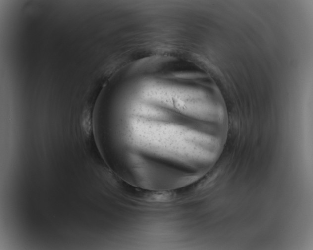 X0000089440479200706291428