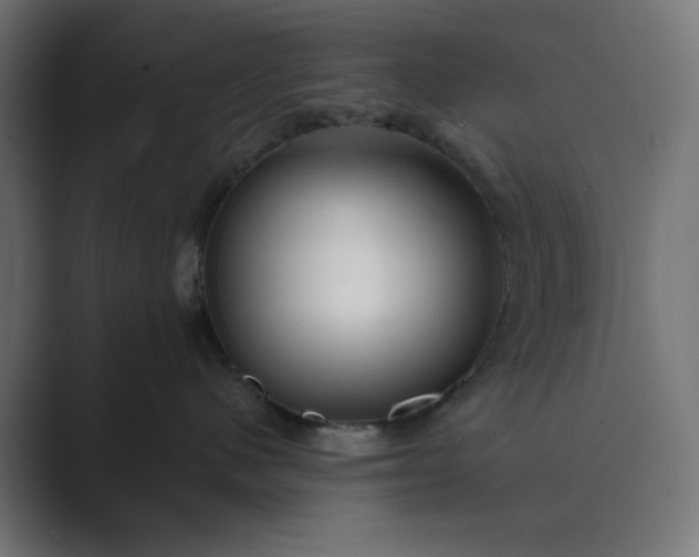 X0000089440480200706291428