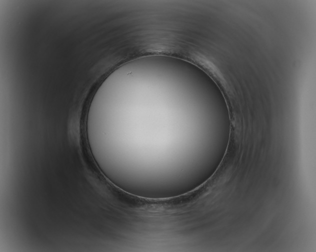 X0000089440482200706291428