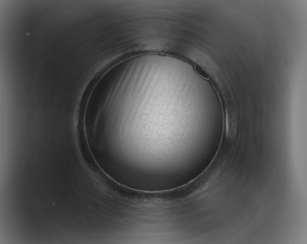 X0000089440483200706291428