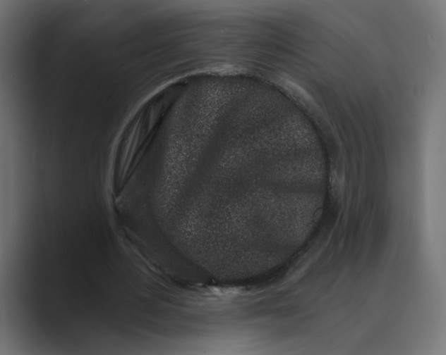 X0000089440484200706291428