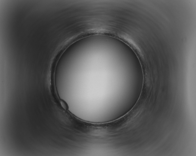 X0000089440486200706291428