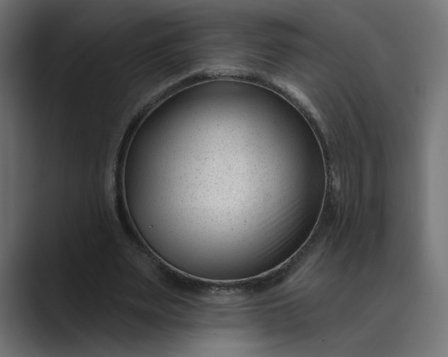 X0000089440487200706291428