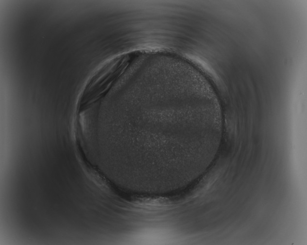 X0000089440488200706291428