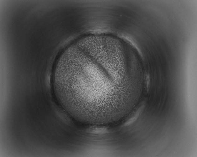 X0000089440491200706291428