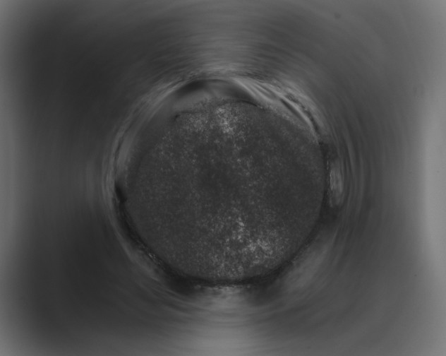 X0000089440492200706291428