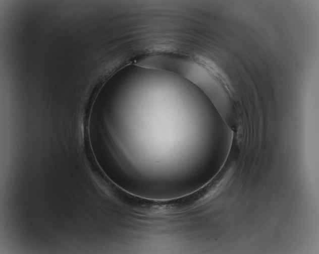 X0000089440493200706291428