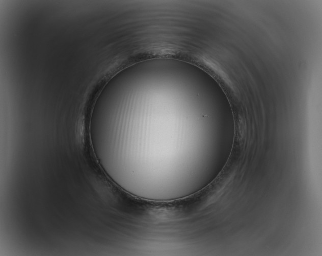 X0000089440494200706291428