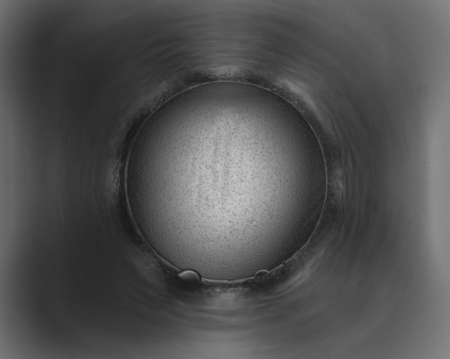 X0000089440495200706291427