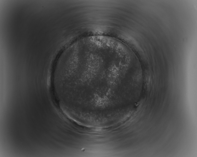 X0000089440496200706291427