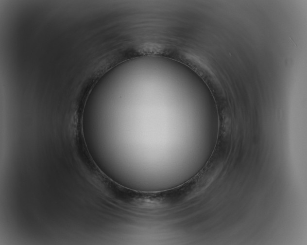 X0000089440498200706291427