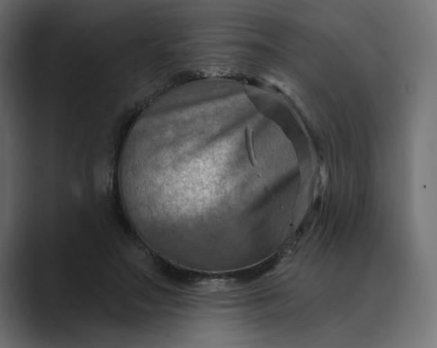 X0000089440499200706291427